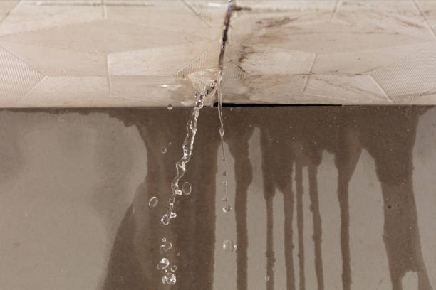 Professional Structural Drying technician working in Montague, TX